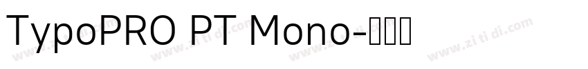 TypoPRO PT Mono字体转换